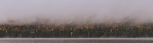 Early morning at Algonquin Provincial Park